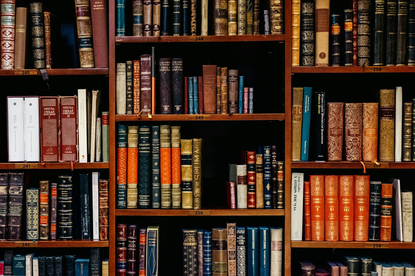 Shelves of bound academic books in a library